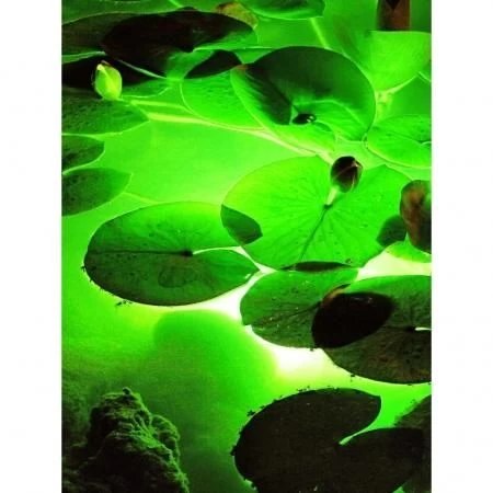 Ubbink Aqualight 30 Led Onderwaterverlicht 4 Ubbink Aqualight 30 Led Onderwaterverlicht - Afbeelding 2