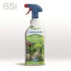 BSI Carboguard Siertuin Fungicide 750 Ml -Tuin & Buiten bsi carboguard siertuin fungicide 750 ml 1024x1024 62514eee01620 l