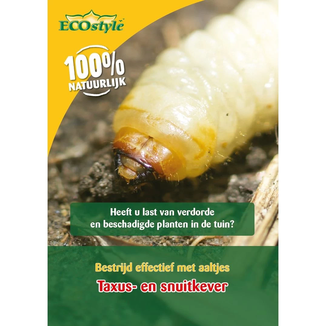 Ecostyle Aaltjes Tegen Larven Taxus-kever H 50 M² 3 Ecostyle Aaltjes Tegen Larven Taxus-kever H 50 M²