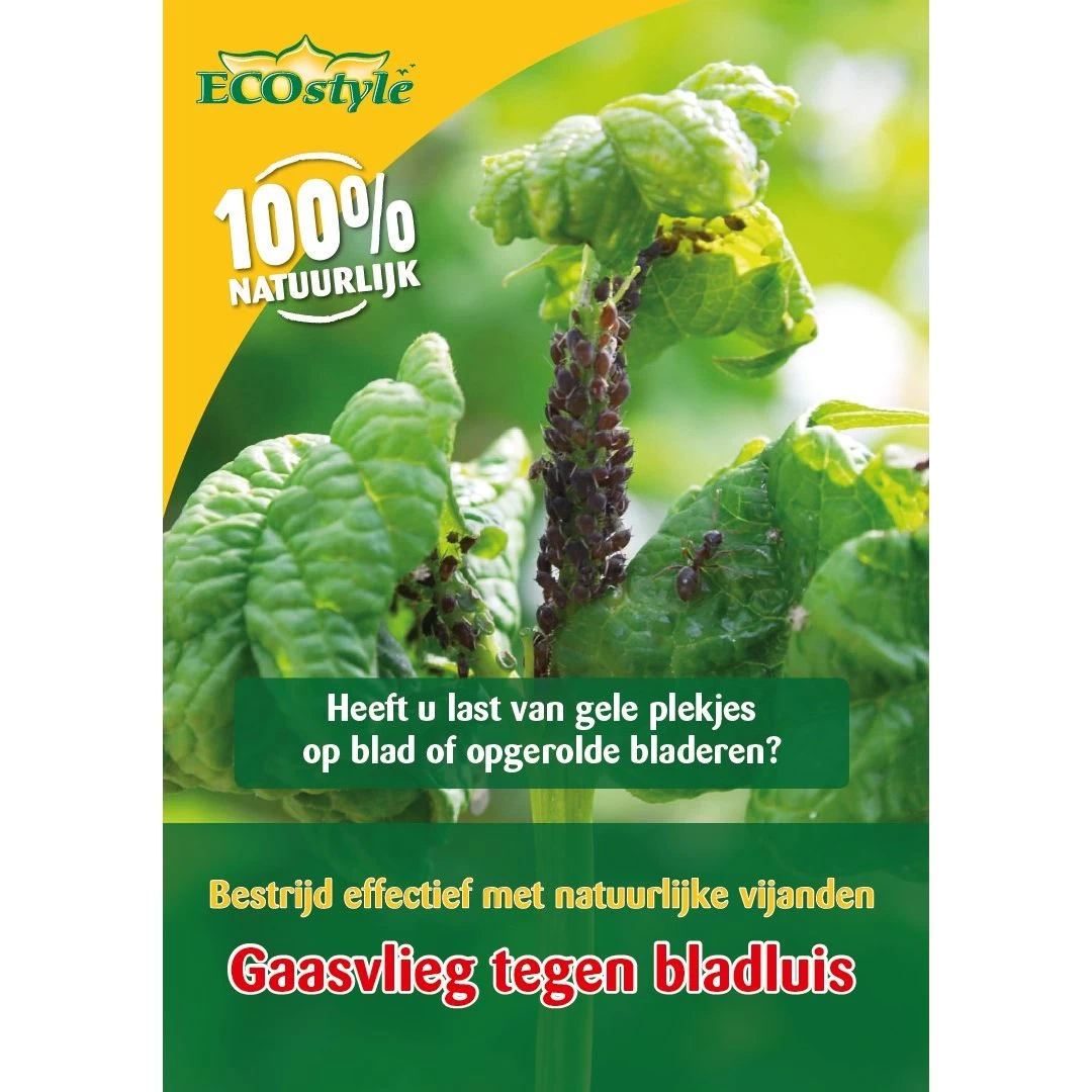 Ecostyle Gaasvlieg Tegen Bladluis 3 Ecostyle Gaasvlieg Tegen Bladluis