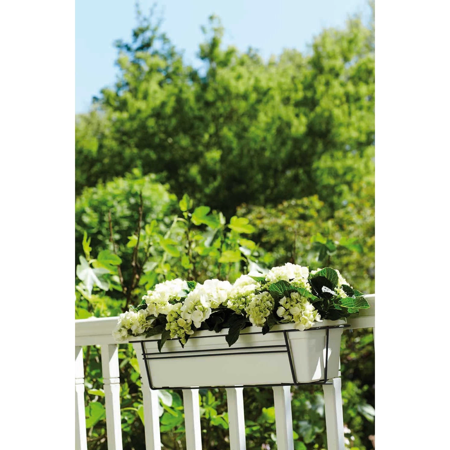 Elho Green Basics Balcony Rack 60 Antraciet 4 Elho Green Basics Balcony Rack 60 Antraciet - Afbeelding 2