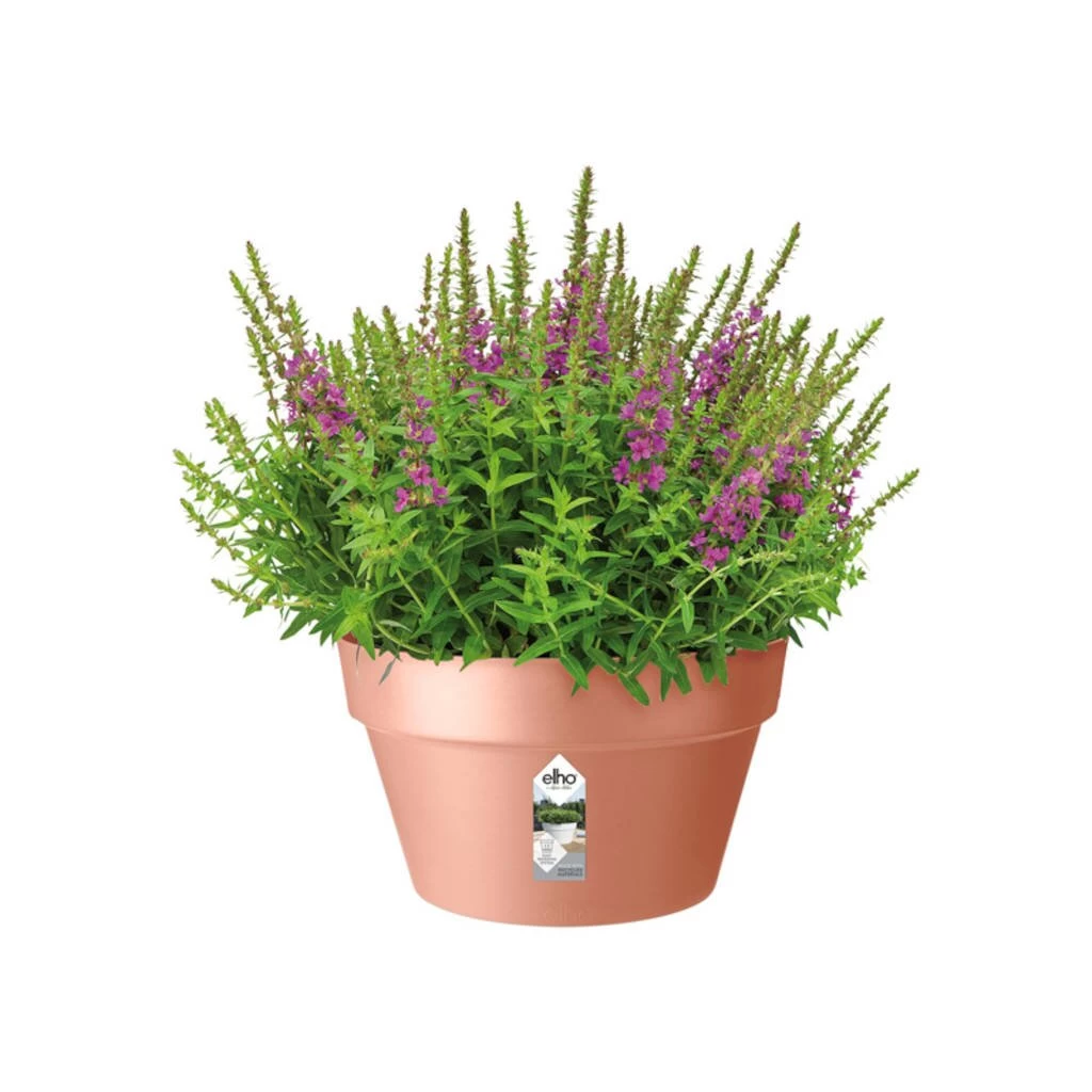 Elho Loft Urban Bowl 35 Delicate Pink 4 Elho Loft Urban Bowl 35 Delicate Pink - Afbeelding 2