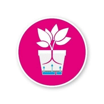 Elho Loft Urban Round High 28 Antraciet 5 Elho Loft Urban Round High 28 Antraciet - Afbeelding 3