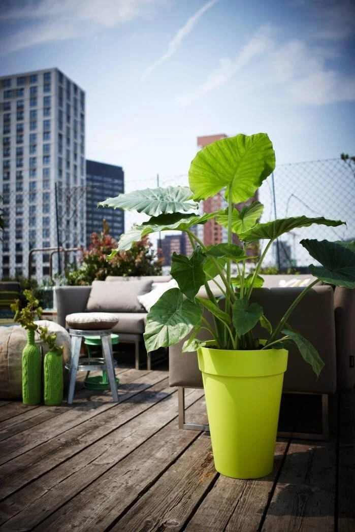 Elho Loft Urban Round High 35 Antraciet 4 Elho Loft Urban Round High 35 Antraciet - Afbeelding 2