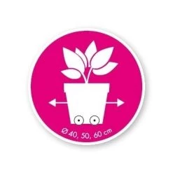 Elho Loft Urban Round Wheels 40 Antraciet 9 Elho Loft Urban Round Wheels 40 Antraciet -Tuin & Buiten elho loft urban round wheels 40 antraciet 366x366 6248318884a1d l