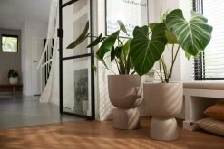 Elho Pure Coupe 35 Balanced Beige -Tuin & Buiten elho pure coupe 35 balanced beige 1024x683 63bd39b79c9cb l