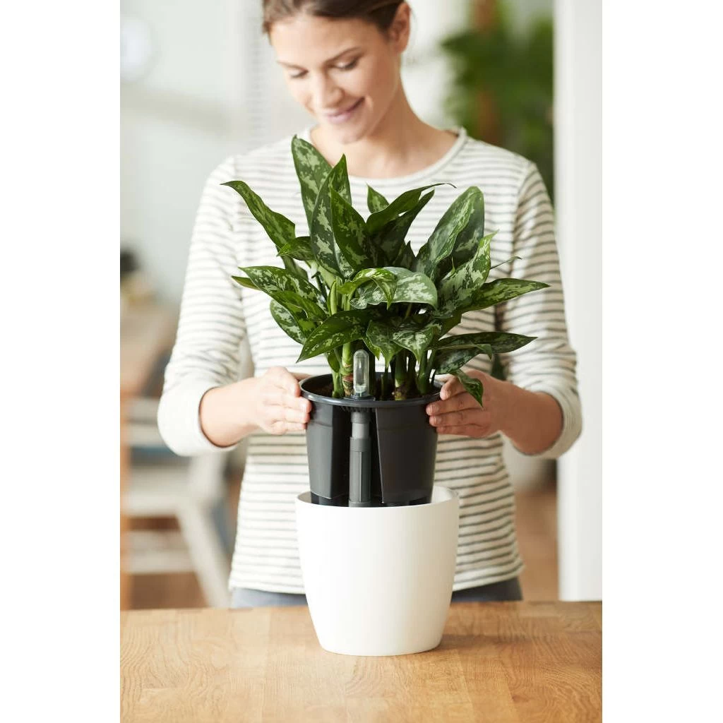 Elho Self-watering Insert 36 Living Black 4 Elho Self-watering Insert 36 Living Black - Afbeelding 2
