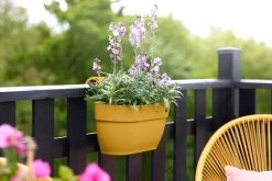 Elho Vibia Campana Easy Hanger Medium Honinggeel -Tuin & Buiten elho vibia campana easy hanger medium honinggeel 1024x682 61e94f6e1ea7a l