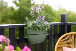 Elho Vibia Campana Easy Hanger Medium Pistache Groen -Tuin & Buiten elho vibia campana easy hanger medium pistache groen 1024x682 61e9615396f99 l