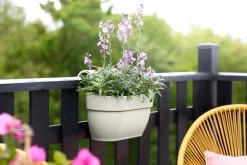 Elho Vibia Campana Easy Hanger Medium Zijdewit -Tuin & Buiten elho vibia campana easy hanger medium zijdewit 1024x682 61e9653bc75b6 l