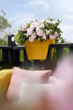 Elho Vibia Campana Flower Bridge 40 Honinggeel -Tuin & Buiten elho vibia campana flower bridge 40 honinggeel 1023x1536 61e55283f0787 l