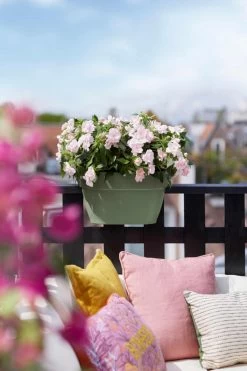 Elho Vibia Campana Flower Bridge 40 Pistachegroen -Tuin & Buiten elho vibia campana flower bridge 40 pistachegroen 1023x1536 61e56696cfe38 l