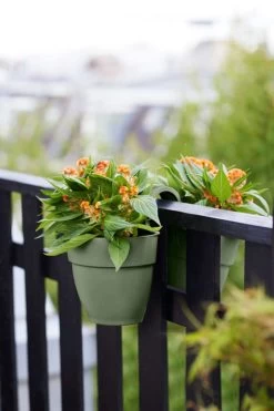 Elho Vibia Campana Flower Twin 21 Pistachegroen 9 Elho Vibia Campana Flower Twin 21 Pistachegroen -Tuin & Buiten elho vibia campana flower twin 21 pistachegroen 1023x1536 61e5666c4552b l