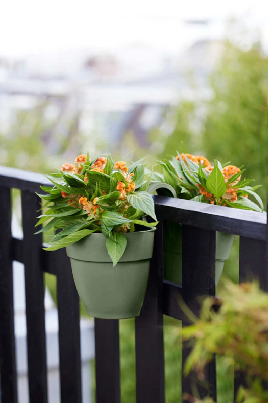 Elho Vibia Campana Flower Twin 21 Pistachegroen 6 Elho Vibia Campana Flower Twin 21 Pistachegroen - Afbeelding 4