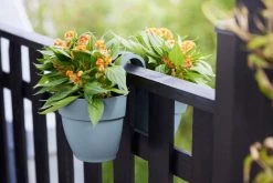 Elho Vibia Campana Flower Twin 21 Vintage Blauw -Tuin & Buiten elho vibia campana flower twin 21 vintage blauw 1024x682 61e54e3f844dc l