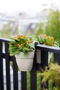 Elho Vibia Campana Flower Twin 21 Zijdewit -Tuin & Buiten elho vibia campana flower twin 21 zijdewit 1023x1536 61e54f4852b05 l