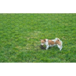 Nature Gaas Zeskantig Geplastificeerd 1 X 5 Meter