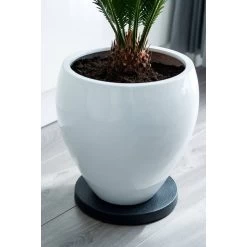 Nature Planttrolley Antraciet 29 Cm Rond 7 Nature Planttrolley Antraciet 29 Cm Rond -Tuin & Buiten nature planttrolley antraciet 29 cm rond 1611764488 2 l