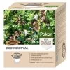 Pokon Buxusmotval -Tuin & Buiten pokon buxusmotval 1553273471 l