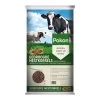 Pokon Gedroogde Mest Korrel 10 Kg -Tuin & Buiten pokon gedroogde mest korrel 10 kg 1548679897 l