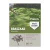 Pokon Graszaad Schaduw 500 Gram -Tuin & Buiten pokon graszaad schaduw 500 gram 1612209842 l