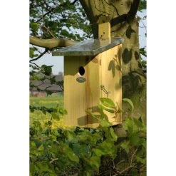 ESSCHERT DESIGN Observatie Nestkast 7 ESSCHERT DESIGN Observatie Nestkast -Tuin & Buiten product 840bf5e117 l