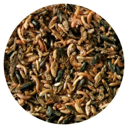 Velda Nature Fish Food 1250 Ml 4 Velda Nature Fish Food 1250 Ml - Afbeelding 2