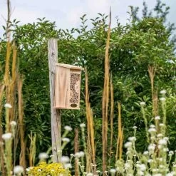 Vogelbescherming Insectenhuis Marchena 7 Vogelbescherming Insectenhuis Marchena -Tuin & Buiten vogelbescherming insectenhuis marchena 1024x1024 634e709ba854c l