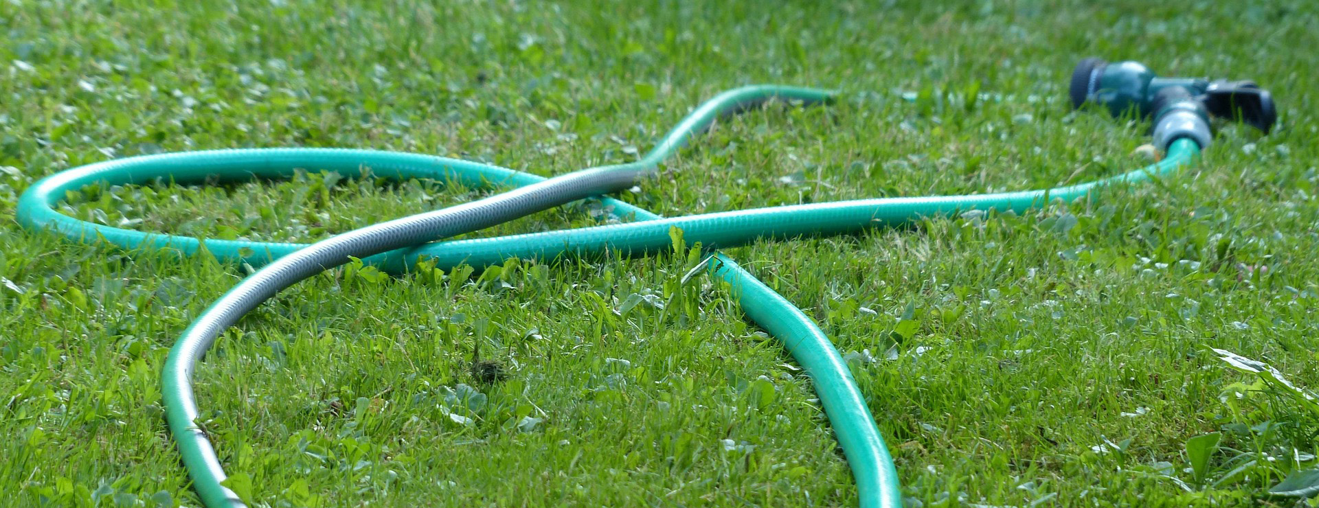 Tuin & Buiten 3 Tuin & Buiten -Tuin & Buiten garden 167379 1920