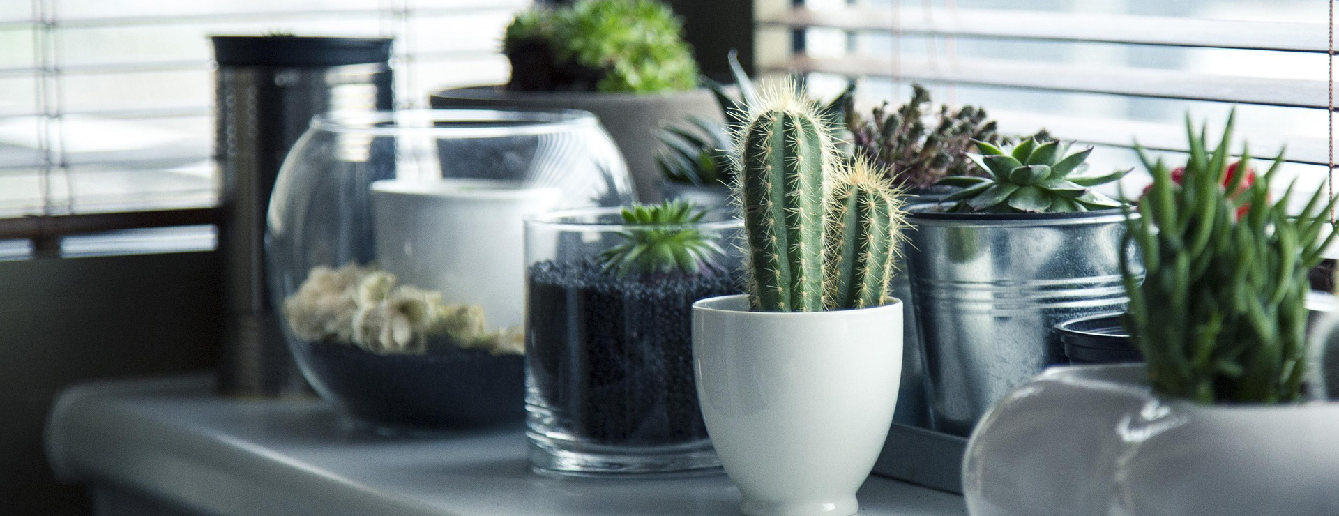 Tuin & Buiten 1 Tuin & Buiten -Tuin & Buiten pots 716579 1920